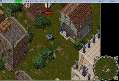 Vendors.jpg