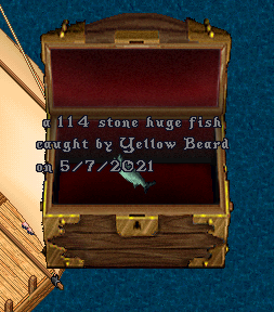 Fish 12.png