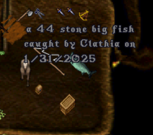 44 stone fish.png