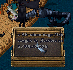 upload_2025-5-29_22-23-33.png