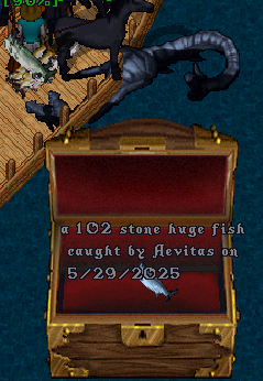 upload_2025-5-30_0-7-35.png