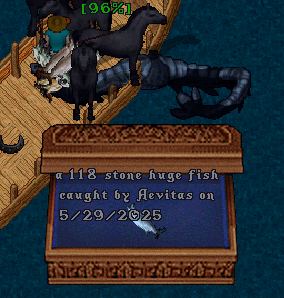 upload_2025-5-30_0-17-36.png