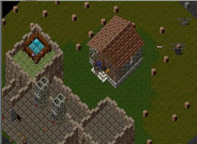 Dark Wolf Lookout!.jpg