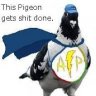 Actionpigeon