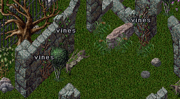 vines.png