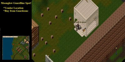 moonglowvendor.jpg