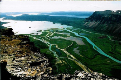 sarek2.png