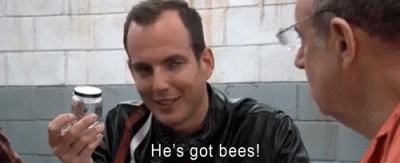 giphy (4).gif