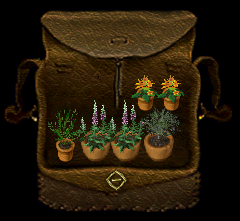 Plants.png