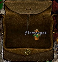 Flowerpot.jpg