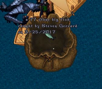 fish1.JPG