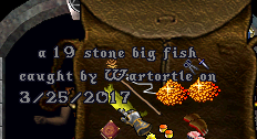 121.png