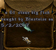 fish 5.png