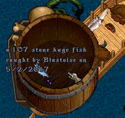 fish 6.png