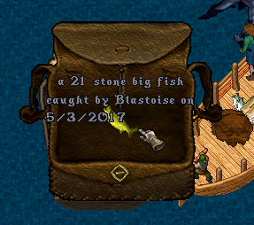 fish 13.png