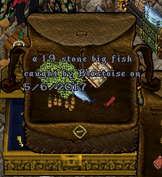 fish 22.png