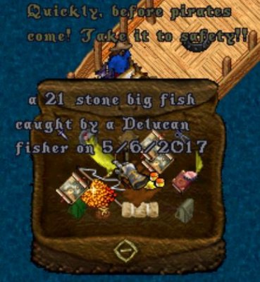 21 stone fish.JPG