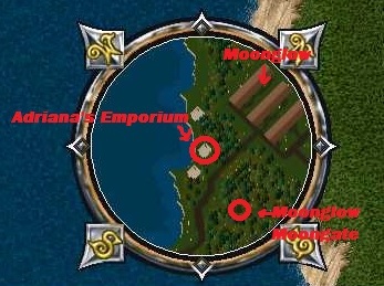 Adriana's2.jpg