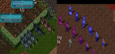 5th ostards.jpg