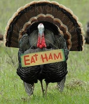 Eat-Ham.jpg