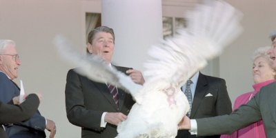 a-short-history-of-the-turkey-pardon-the-white-houses-weirdest-thanksgiving-tradition.jpg