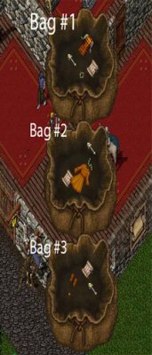 2AnBags.jpg