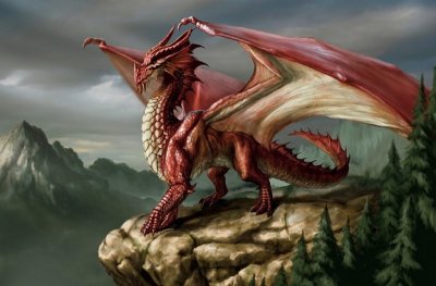 EUROPEAN_DRAGONS - Copy.jpg