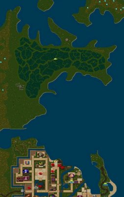 ferns fort.JPG