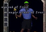 ranger armor frost & wand.jpg