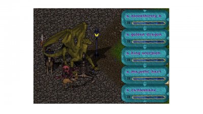 Zoo.jpg