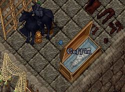 coffin.JPG