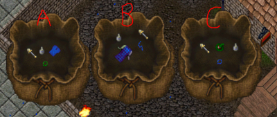 Anni Bags.PNG