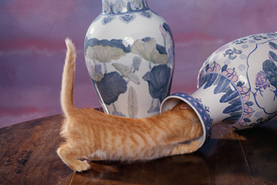 vase.png