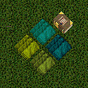 BOD cloth 1.jpg