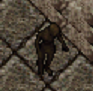 wds.png
