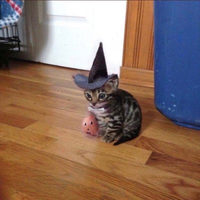 IMG_20181006_063335.jpg