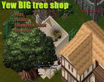 yewbigtreeshop1.JPG