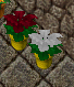 PLANTS-1.png