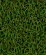 PLANTS-5.png