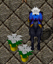 upload_2019-3-1_10-52-48.png