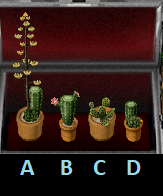 Plants.png