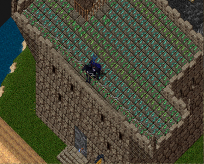 Fishing Tower Roof1.png