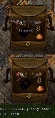 Bone Shards.jpg