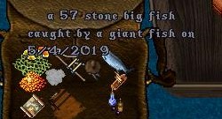 a giant fish_5-4_16.53 (2).jpg