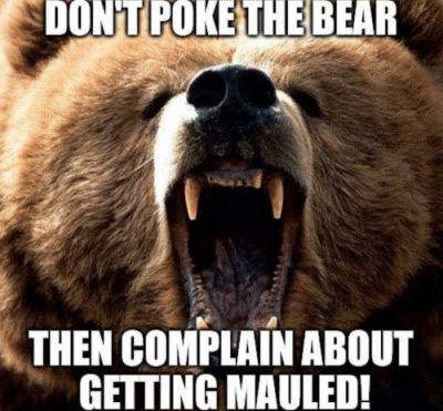 dontpokethe-bear-then-complain-about-getting-mauled-imgflip-com-found-this-35999323.png