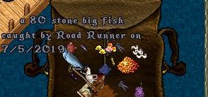 Road Runner_7-5_14.35-2.jpg