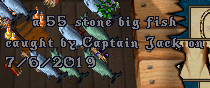 55 stone.PNG