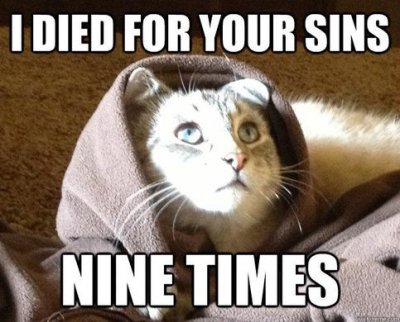 https_%2F%2Fwhyevolutionistrue.files.wordpress.com%2F2013%2F06%2Fcat-jesus.jpg