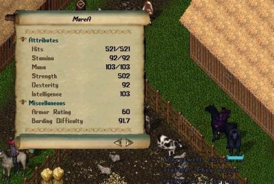 lawn elder_1-2_20.04 (2).jpg