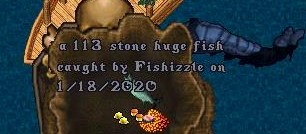 fish1.jpg